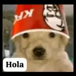 It's really interesting