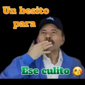 ptBdBb