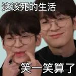 seventeen表情管理2 :: @fStikBot