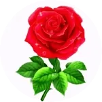 Hai già scelto il regalo perfetto? 🎁💓