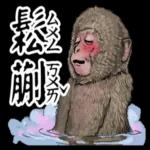 動物鄉民