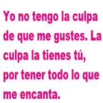 Yo no tengo la culpa de que me gustes. La culpa la tienes tú, por tener todo lo que me encanta.