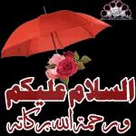 ببببببببببب