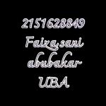 ACCOUNT NUMBER