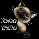 Gracias