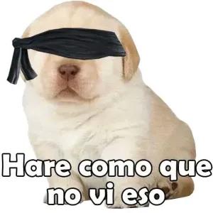 Hare como que no vi eso - getsticker.com