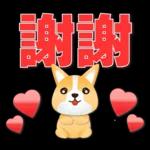 可愛柯基- 實用日常用語