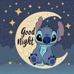 Stitch's lovely night