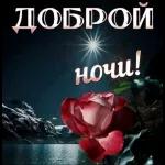 Альбина Багаева