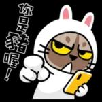 貓爪抓 -你問我答 1