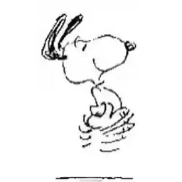 Snoopy✌️✌️