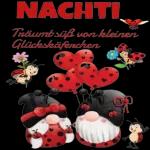 Gute Nacht und schlaf schön! 😴