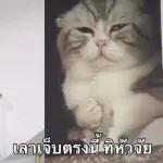 วันนี้ดีหรือไม่ดีก็ผ่านไปแล้ว👋👋