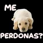 Gracias  sorry ok
