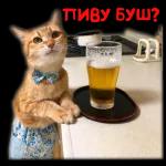 Гавкнуть что ли...