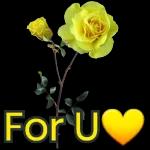 flowers for you