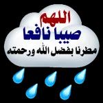 فطور ي