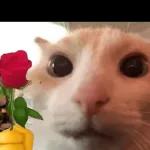 Animais com Emoji de Flor 🌹