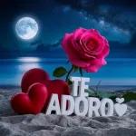 Te adoro
