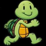 Süße kleine Schildkröte😻