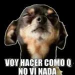 cuenta el