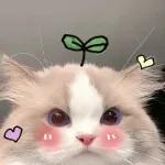 kucing ngambek 