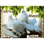 Доброе утро! Когда день начинается с приятных мелочей