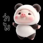 หมูแพนด้าน่ารักจังเลย