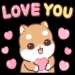 萌宠sticker  01304🥰