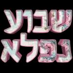 כל שבוע טוב