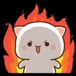 Mochi Peach Cat 2
                    
Mochi Peach Cat