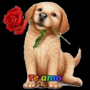 xZDFpQ