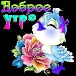 доброе утро