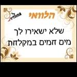 רק מכבי💛💙