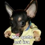Maritza