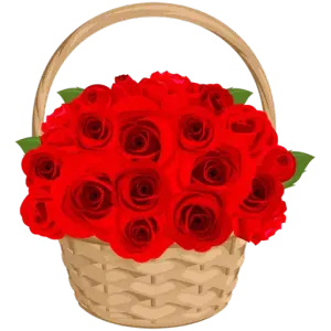 29matpl