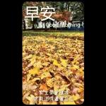 早安這世界(卡地夫) 5