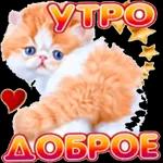 прив