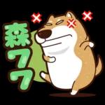 我是你的柴 2