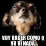 como q no vi nada