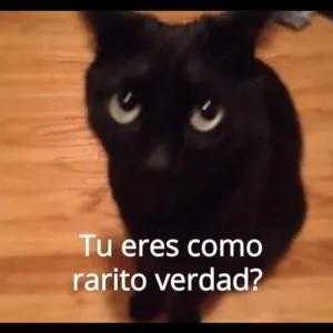 Tu eres como rarito verdad? - getsticker.com