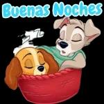 Buenas noches 