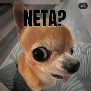 NETA? - getsticker.com
