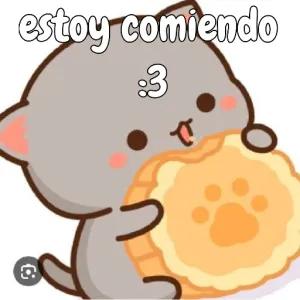 yJSv9b