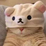 Meow
                            ƐℓεѕιƧ 🍪