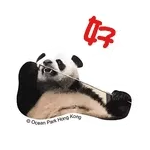 香港海洋公園 - 《大熊貓安安可可日常篇》