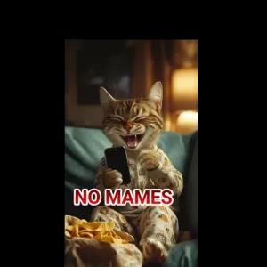 NO MAMES - getsticker.com