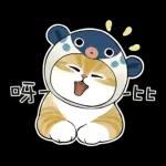 鯊魚貓咪 2
