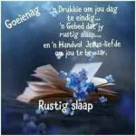 Mooi Nagrus Lekker slaap! Koester Klub