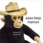 monos lokos